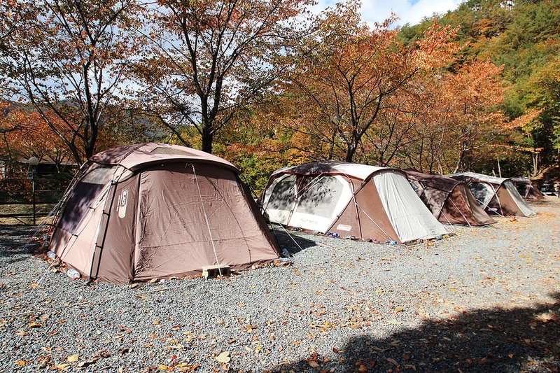 그린하우스캠핑장 시설 사진 17