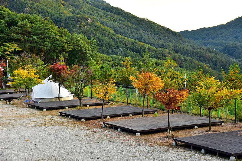 예손농원캠핑장 시설 사진 5