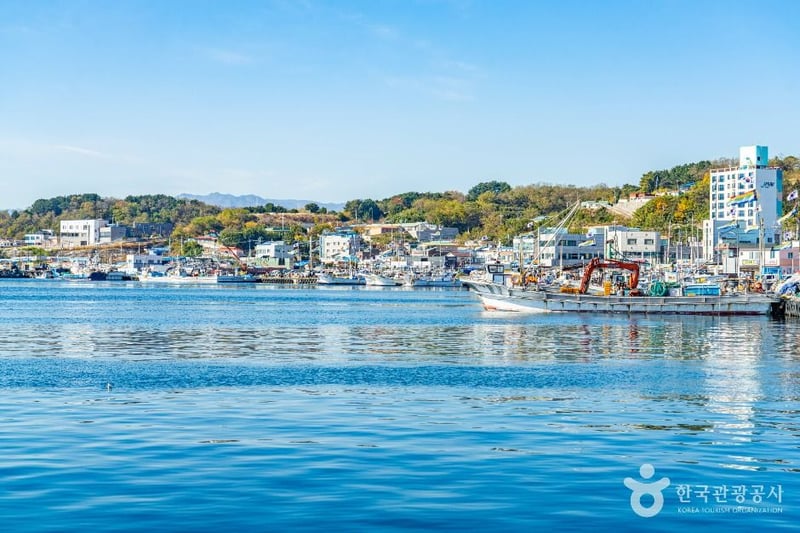 죽변항