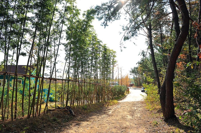 황방산생태야영장 시설 사진 5