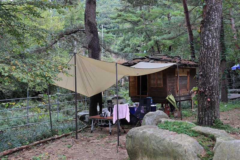 트리하우스계곡야영장 시설 사진 7