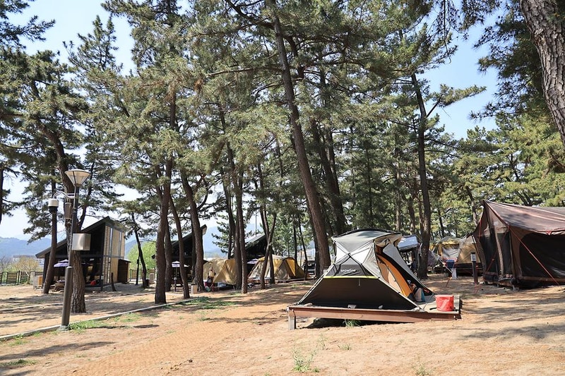 맹방 비치캠핑장 시설 사진 8