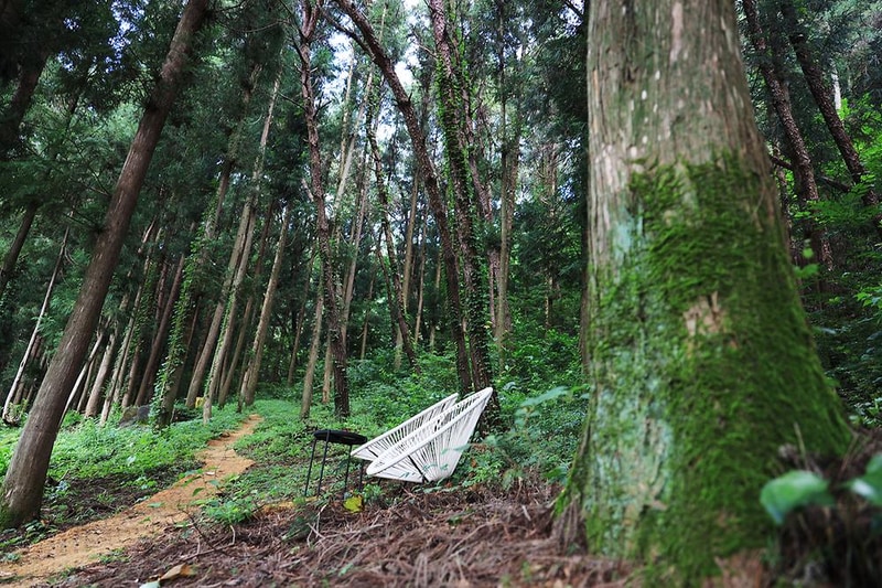 선인장 시설 사진 10