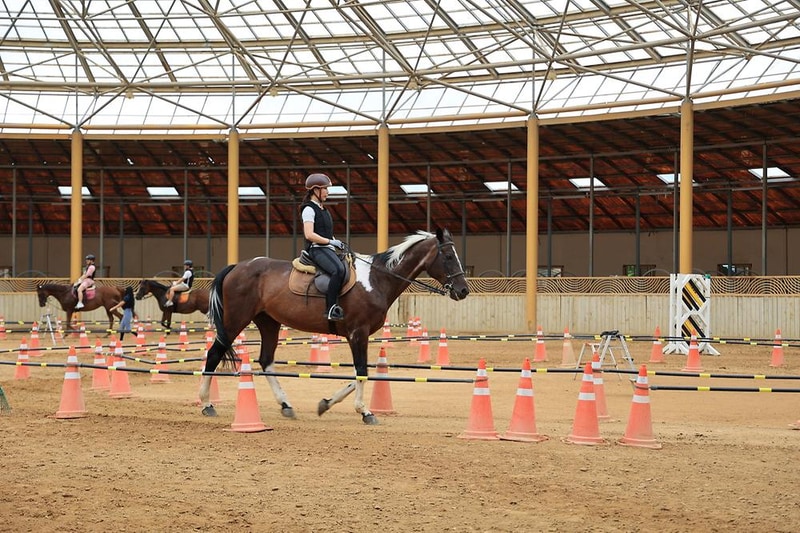 베르아델 승마클럽 시설 사진 5