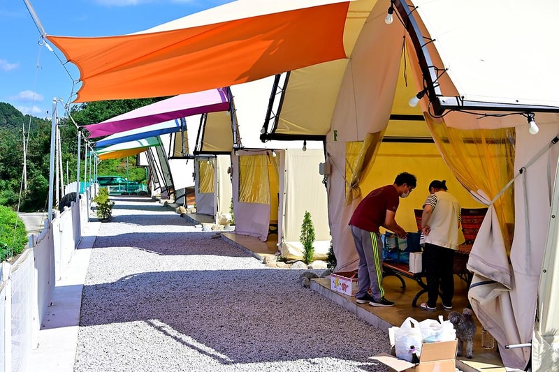 산청펫글램핑 시설 사진 13