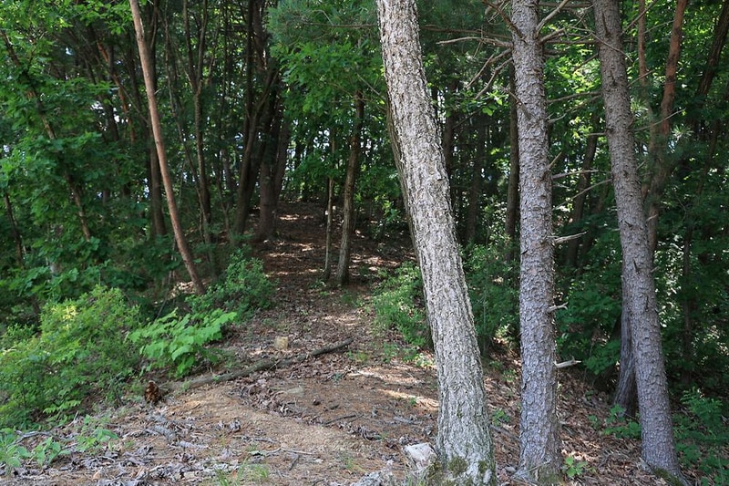 숲속에햇살캠핑장 시설 사진 15