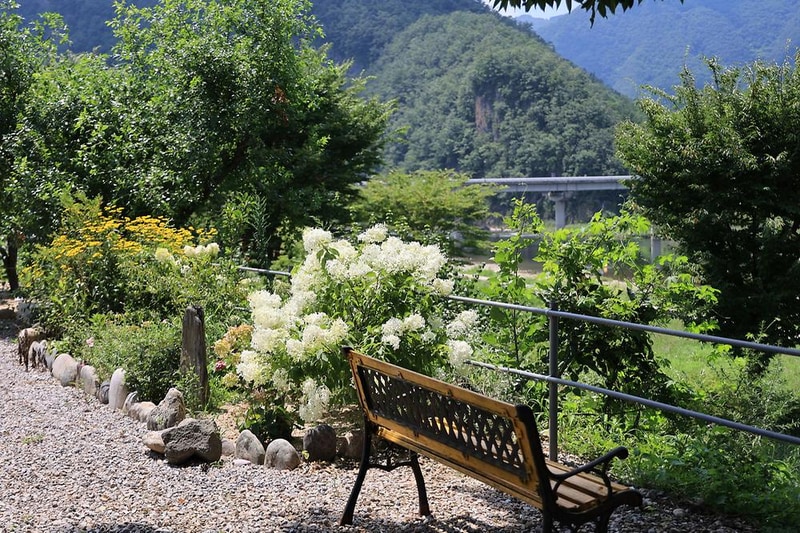 꿈꾸는 강 펜션 & 카라반 시설 사진 15