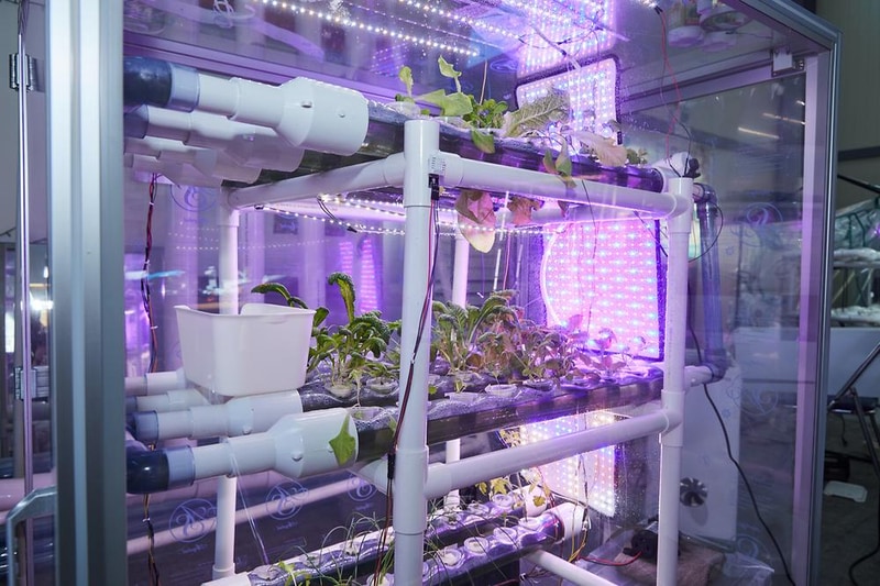 사강스마트팜캠핑장 시설 사진 4