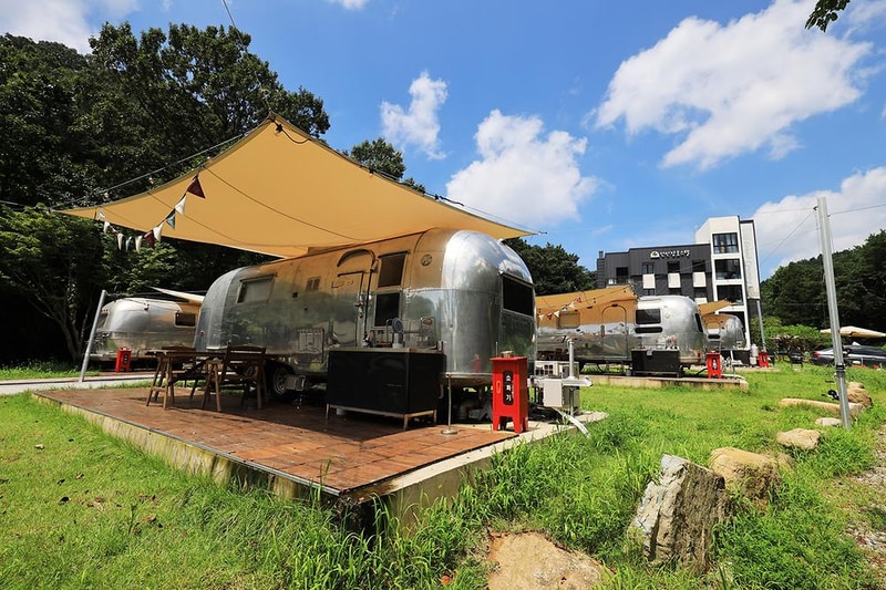 선인장 시설 사진 19