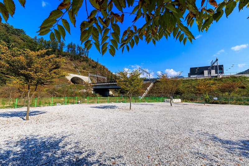 백운일출캠핑장 시설 사진 5