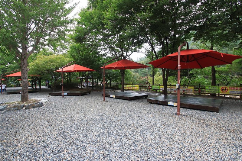 장령산자연휴양림 야영장 시설 사진 4