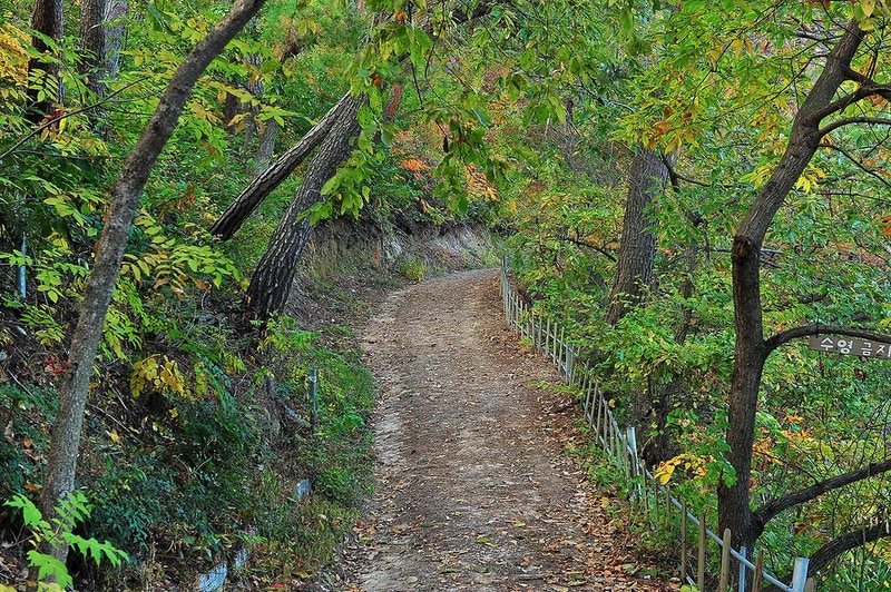 달곡캠프 시설 사진 3