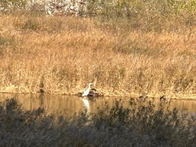 양양 고인돌 캠핑장 시설 사진 1