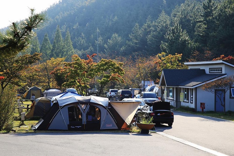 희리산 해송자연휴양림 일반야영장 시설 사진 3