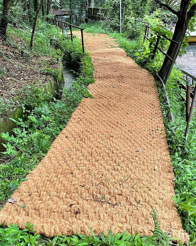 반달곰이 살던 숲 시설 사진 4