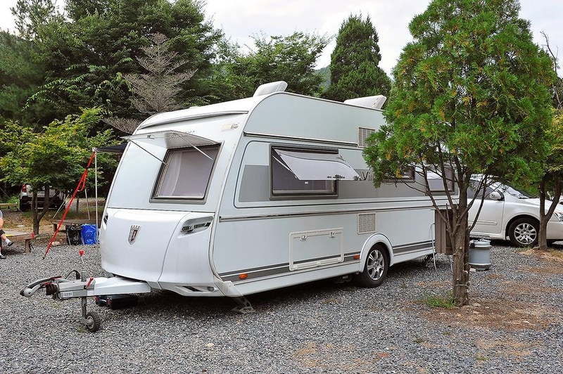 핫도그342애견글램핑카라반 주식회사 시설 사진 9