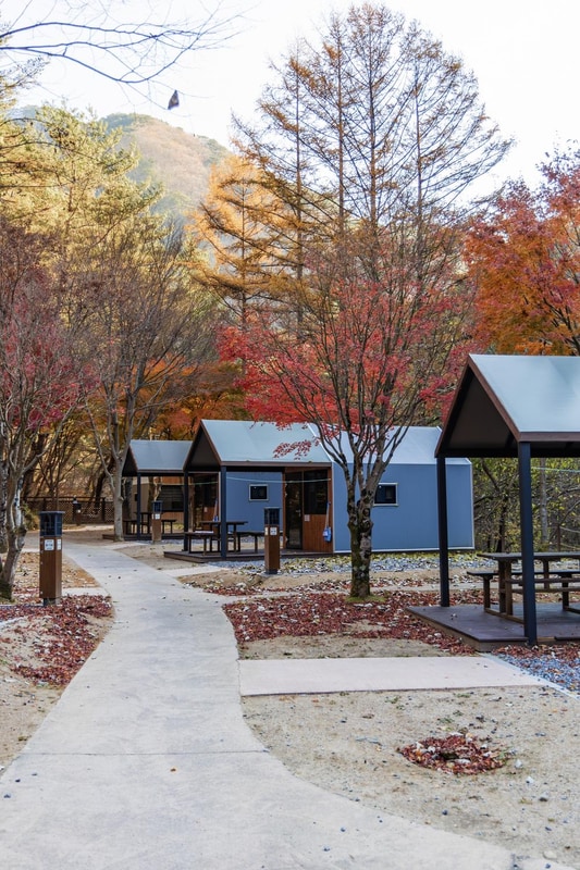 소백산국립공원 남천야영장 시설 사진 37