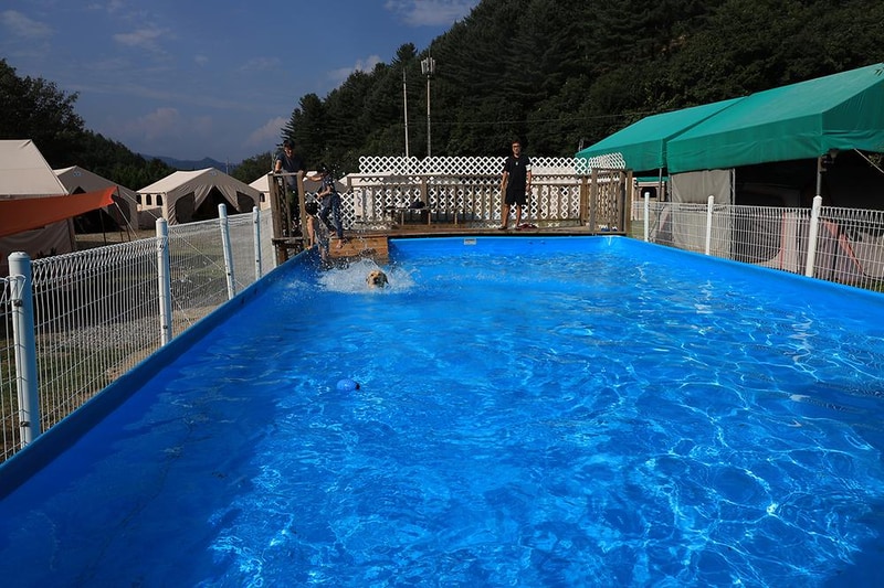 링크독애견파크 글램핑&오토캠핑장 시설 사진 5