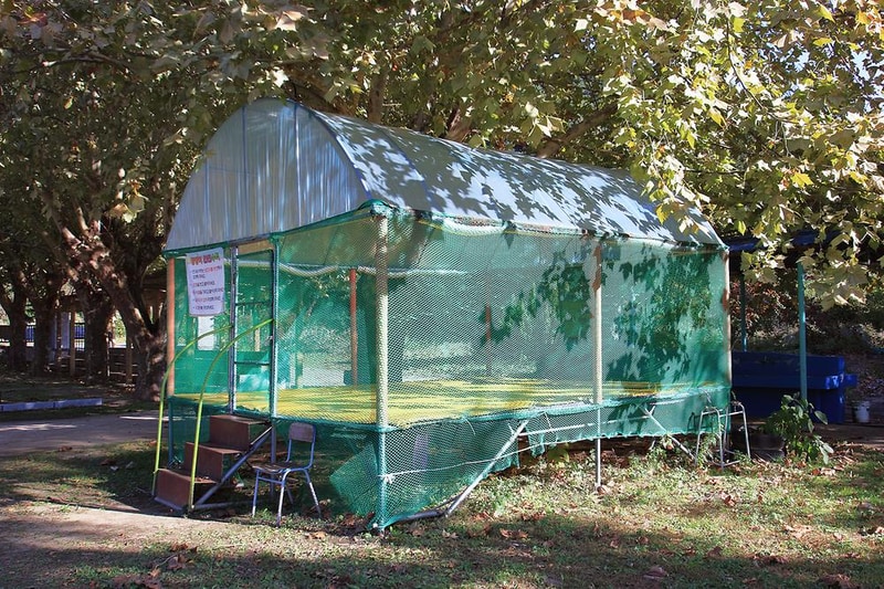 룰루랄라 체험 캠핑장 시설 사진 1