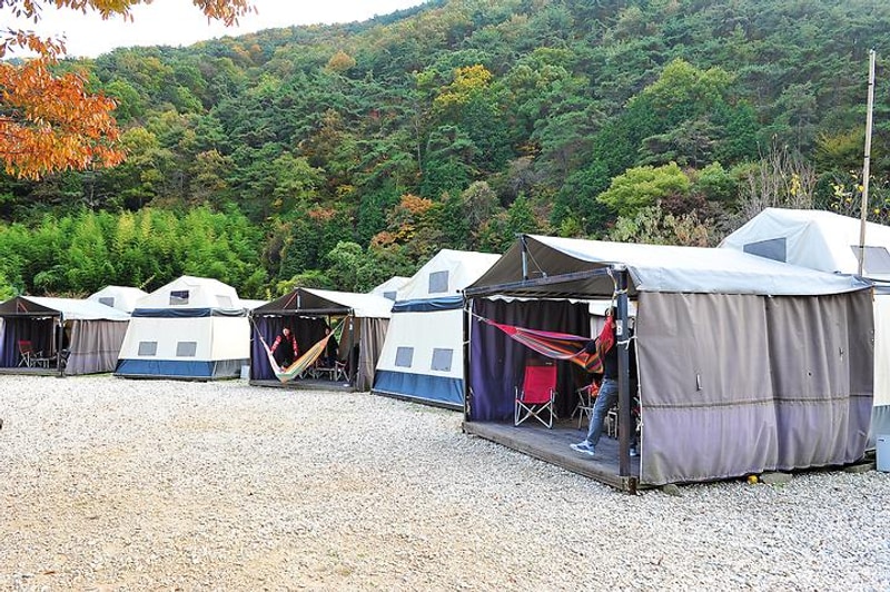 흙내음 글램핑 대표 사진