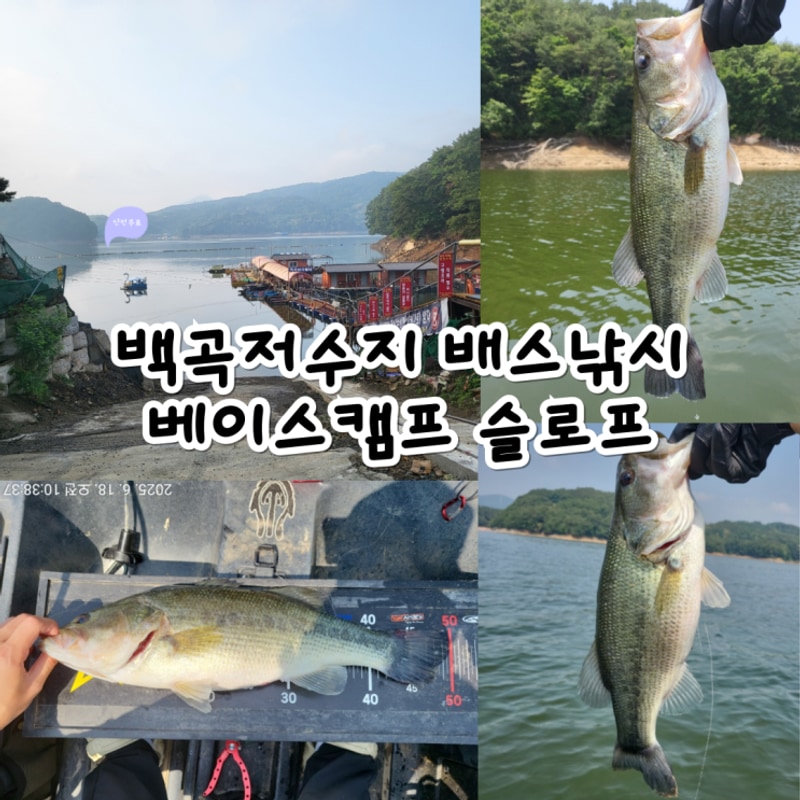 베이스캠프 대표 사진