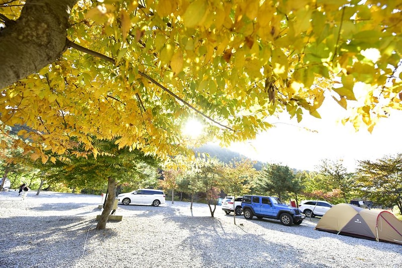 캠핑스마일 시설 사진 13