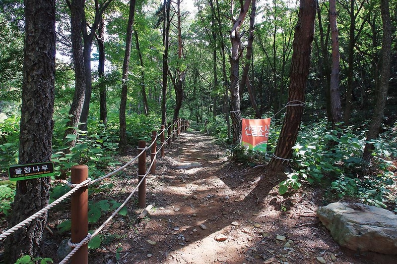 팔공산금화자연휴양림 시설 사진 13