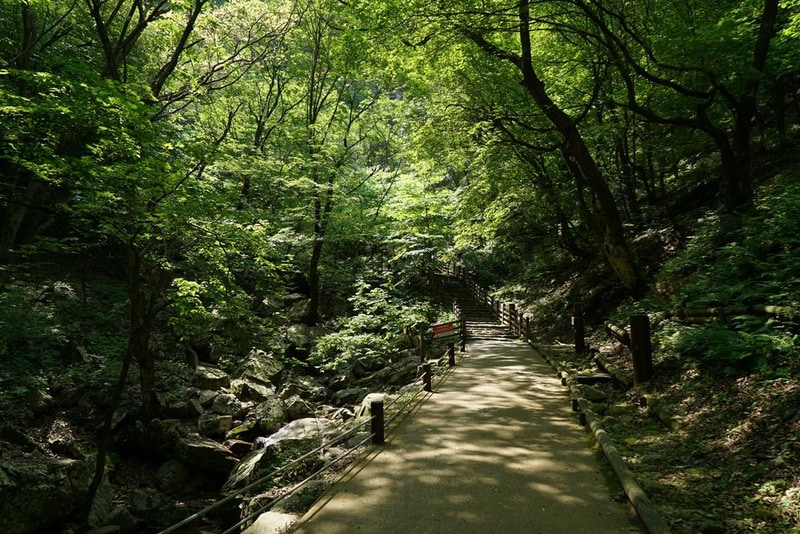 구곡폭포 국민여가 캠핑장 시설 사진 3