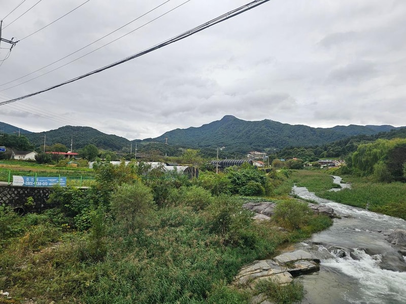 리틀 포레스트 캠핑 시설 사진 25