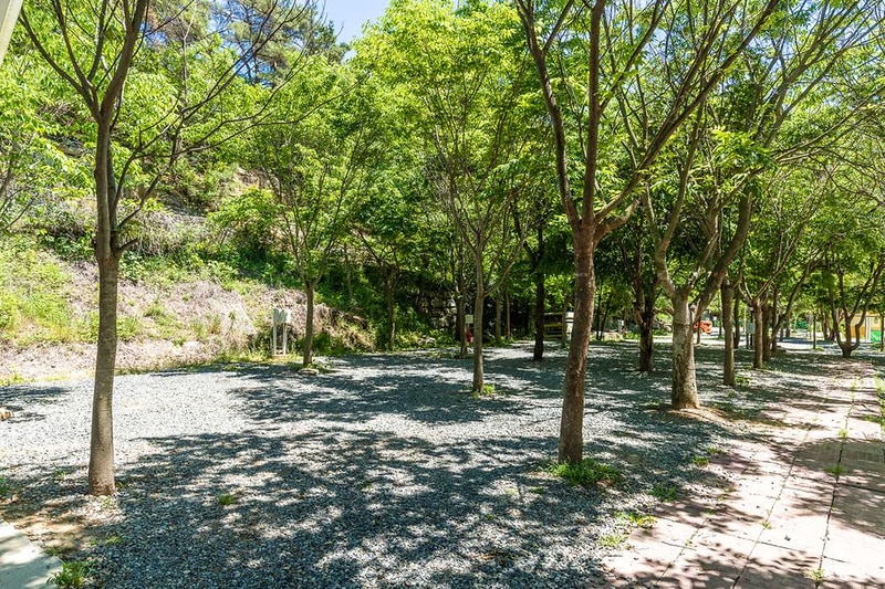 행화촌자연테마파크 시설 사진 12