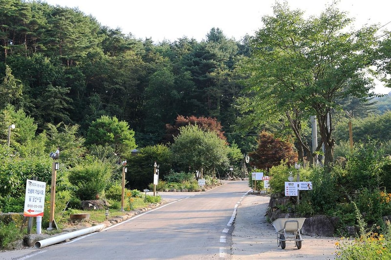 꼬꼬토피아 캠핑 시설 사진 17