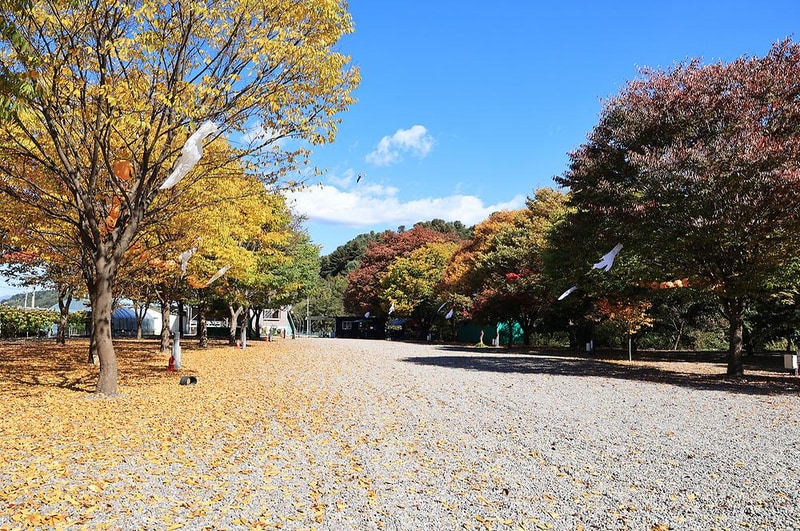 포도밸리 캠핑장 시설 사진 1