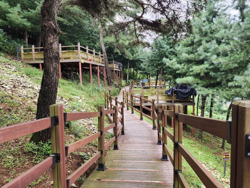 신암저수지 숲속야영장