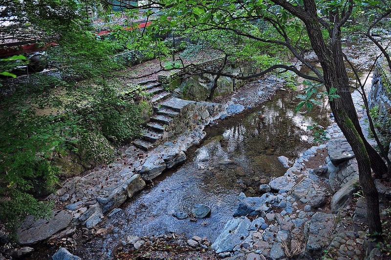 수목원프로방스 캠핑장 시설 사진 6