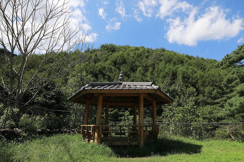 물한계곡소나무펜션 시설 사진 13