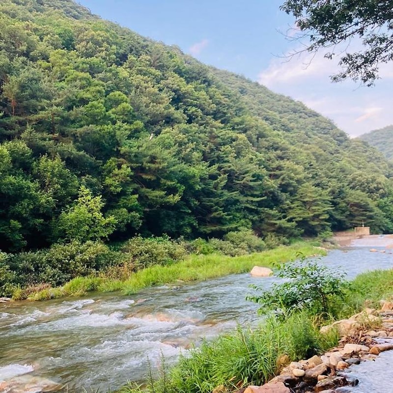 노문 캠핑장 대표 사진
