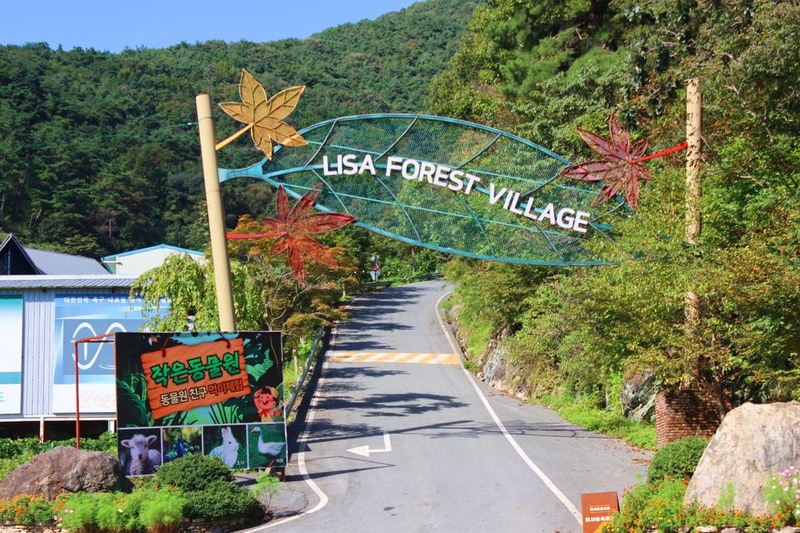 담양리사숲속마을 시설 사진 1