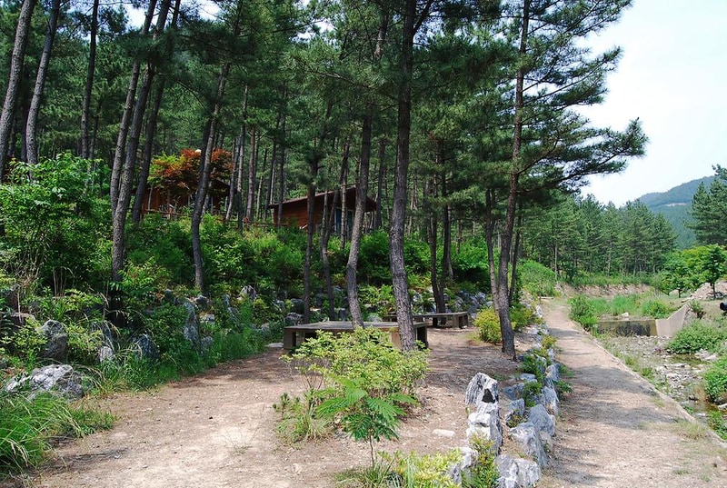 희리산 해송자연휴양림 일반야영장 시설 사진 8