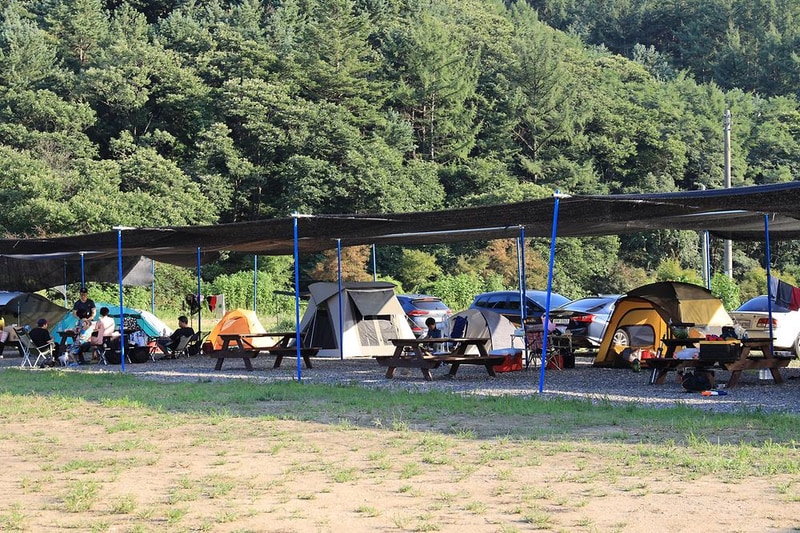 자연의꿈 시설 사진 9