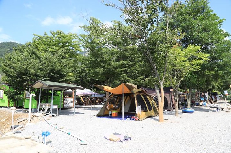 영월 외룡 캠핑장 대표 사진