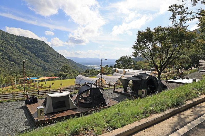 월아산 자연휴양림 대표 사진