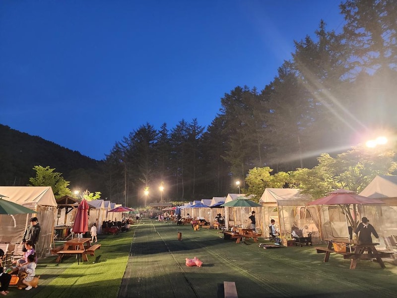 코알라캠핑장 시설 사진 37