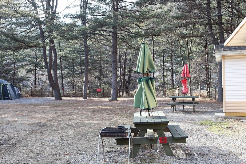 (주)수동자연마을 힐링별밤수목원캠핑장 시설 사진 7