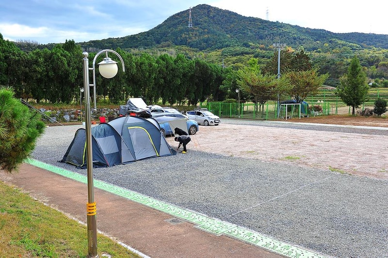 청광새들녘캠핑 시설 사진 14
