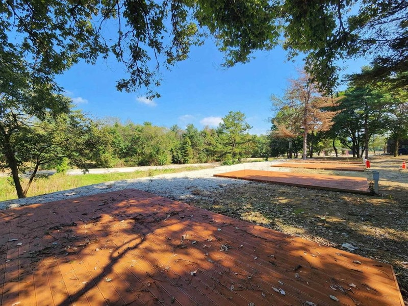 팜파스농원 시설 사진 13