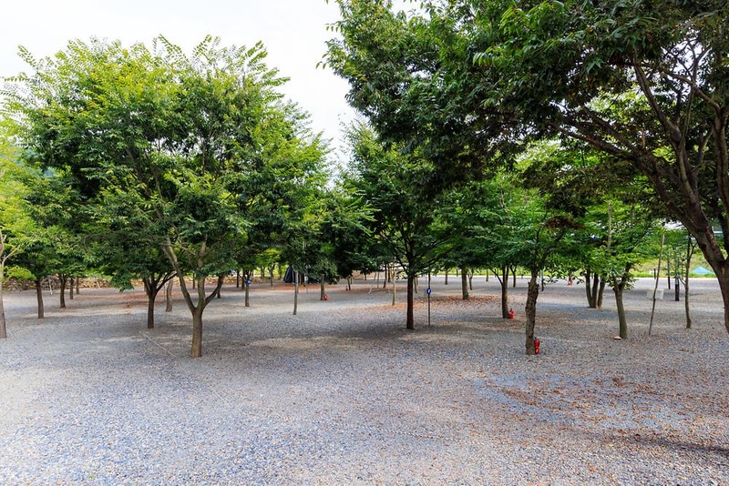 청도 사계절 캠핑장 시설 사진 5