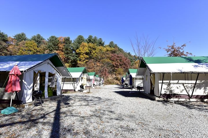 둥지캠핑장 대표 사진