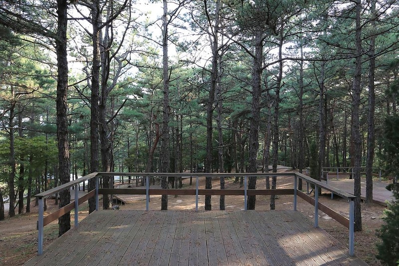 파인힐캠프 시설 사진 6