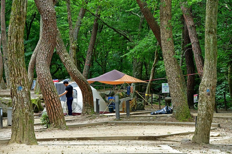 치인야영장 시설 사진 2