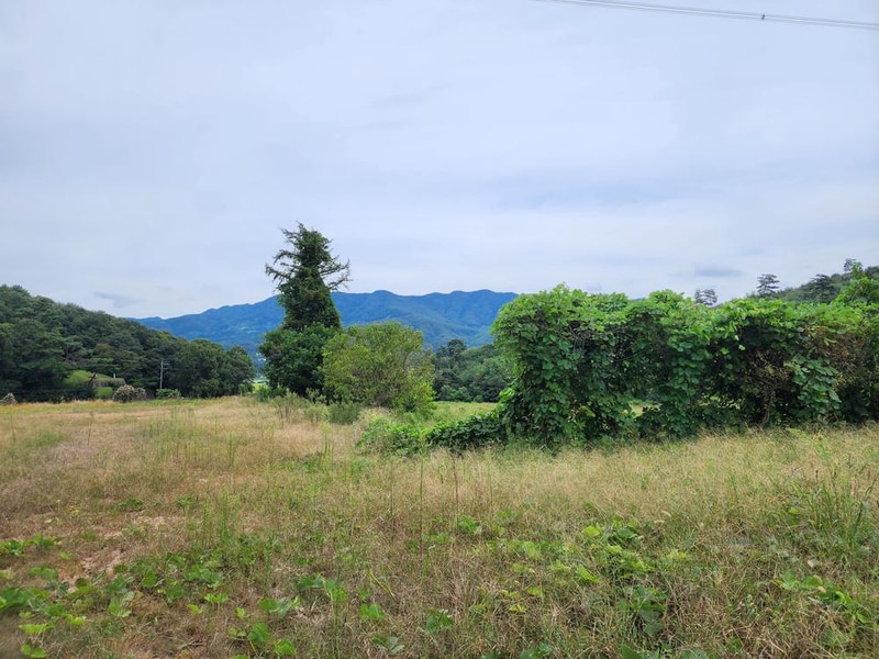 용인반딧불캠핑장 시설 사진 1